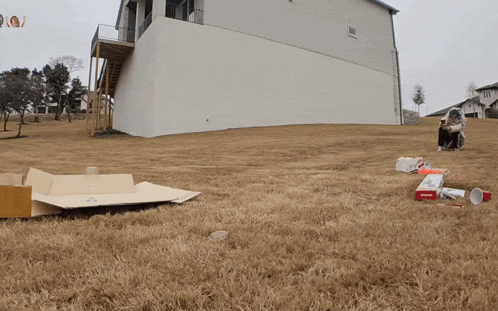 a cardboard box sits in the middle of a grassy field