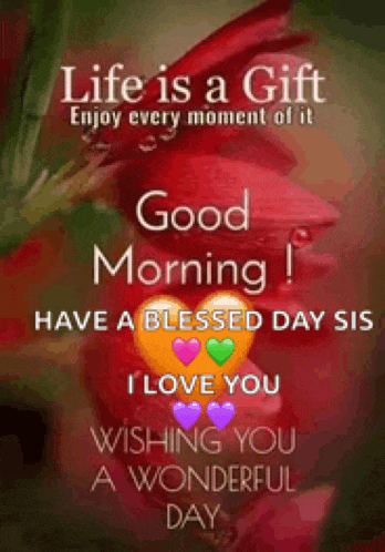 life is a gift enjoy every moment of it good morning sis have a blessed day sis i love you wishing you a wonderful day