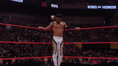 Ring Of Honor Shawn Dean GIF - Ring Of Honor Shawn Dean GIFs
