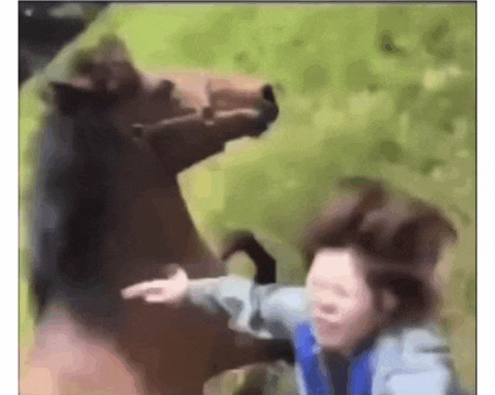 a woman is being attacked by a horse while riding a horse .