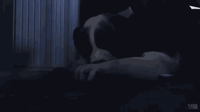 a black and white dog is laying down in a dark room with vcb written on the bottom right corner