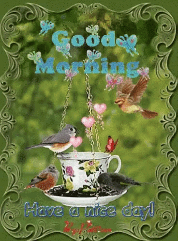 a card that says good morning and has birds and flowers