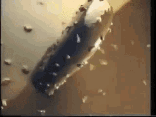 a close up of a black object with a lot of bubbles on it .