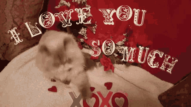 I Love You So Much I Love You This Much GIF - I Love You So Much I Love You This Much Xoxo GIFs