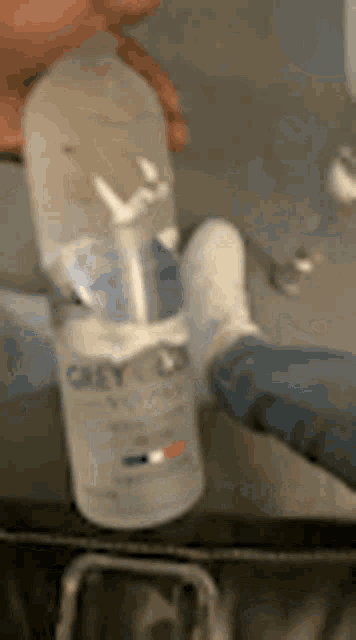 Grey Goose GIF
