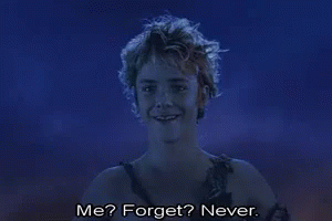 Never Forget GIF - Neverforget Forget GIFs