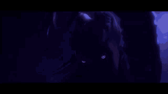 a blurry picture of a man in a dark room .