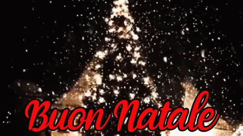 Albero Di Natale Buon Natale Buone Feste Albero Di Natale Vigilia Di Natale GIF - Christmas Tree Happy Christmas Christmas Eve GIFs