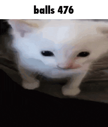 a close up of a white cat with the words balls 476 written above it