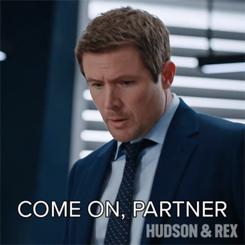 Come On Partner Charlie Hudson GIF - Come On Partner Charlie Hudson Hudson And Rex GIFs
