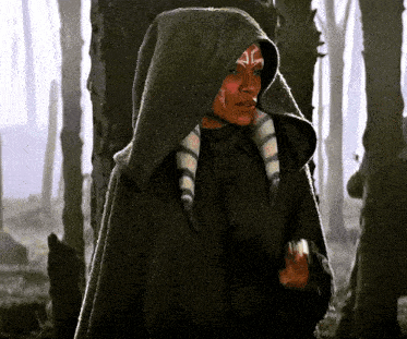 a woman wearing a black cape with a hood is standing in a forest .