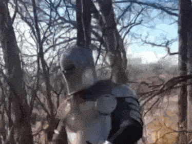 a man in armor is standing in a forest