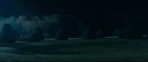 a dark landscape with trees and bushes in the background