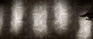 a person standing in front of a zebra print wall .