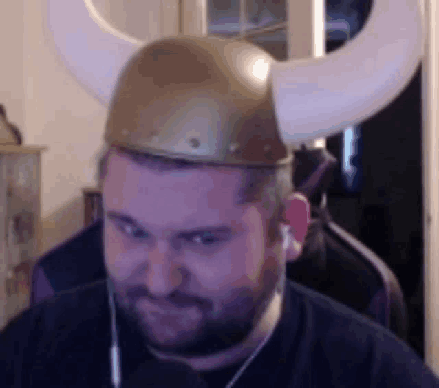 a man with a beard wearing a viking hat