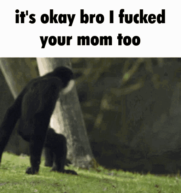 a monkey is walking in the grass with the words it 's okay bro i fucked your mom too