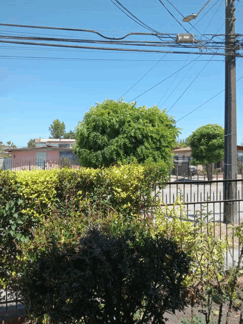 a fence surrounds a residential area with a few trees in the background