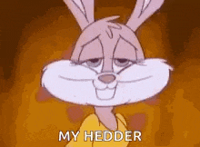 a cartoon rabbit is wearing a yellow shirt and saying `` my heider '' .