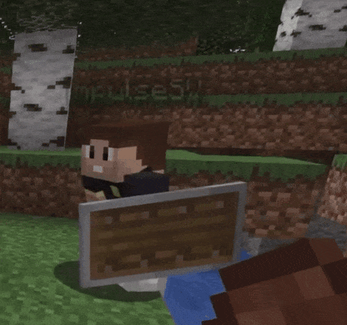 a minecraft character holding a wooden shield with the name impulseov on the screen behind him