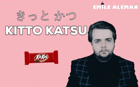 Kitkat Katsu GIF