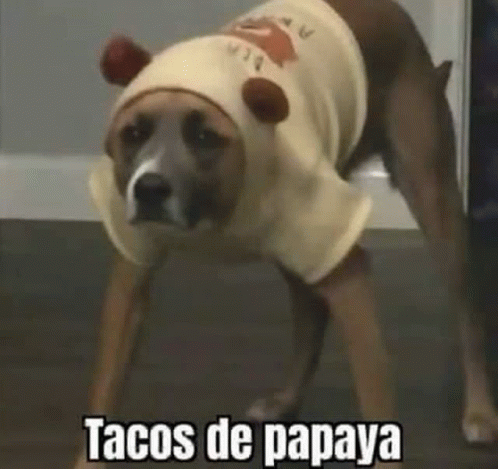 Tacos De Paya Tacos GIF - Tacos De Paya Tacos De GIFs