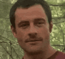 Daddy GIF