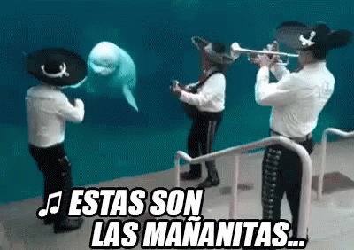 Estas Son Las Mañanitas GIF - Mariachi Las Mananitas Trumpets GIFs