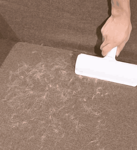 a person is cleaning a brown couch with a white brush