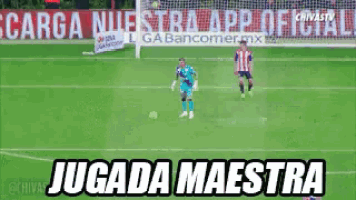 a soccer game is being played on a field with a sign that says carga nuestra app official