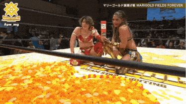 two women in a wrestling ring that says marigold fields forever on it