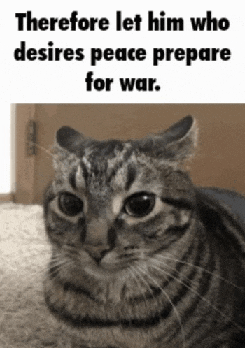 a cat laying on the floor with a caption that says therefore let him who desires peace prepare for war
