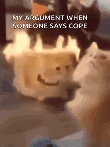 a blurred image of a cat with the words my argument when someone says cope above it