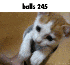 a kitten is being held in someone 's hand with the words balls 245 below it