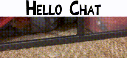 a sign that says hello chat is above a carpet