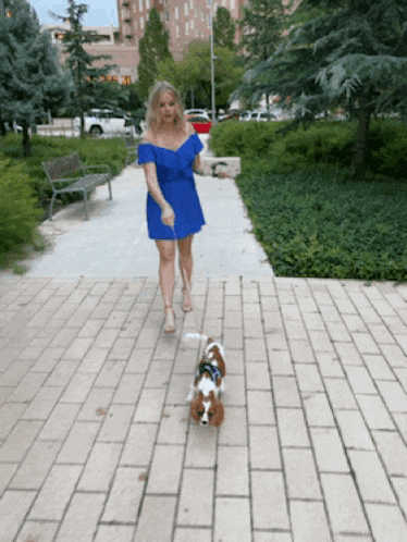 a woman in a blue dress is walking a small dog