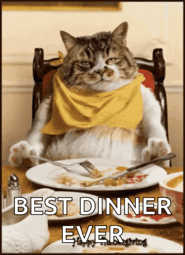 a cat wearing a yellow scarf is sitting at a table with a plate of food and the words best dinner ever