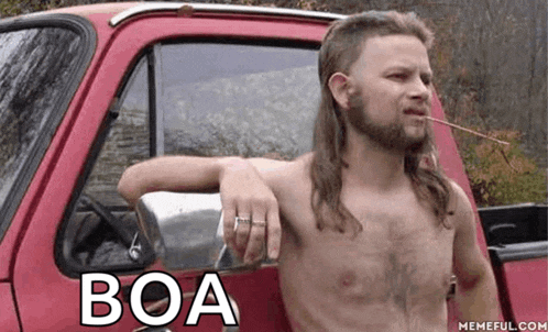 a shirtless man with a mullet is leaning against a red truck with the word boa written on it .