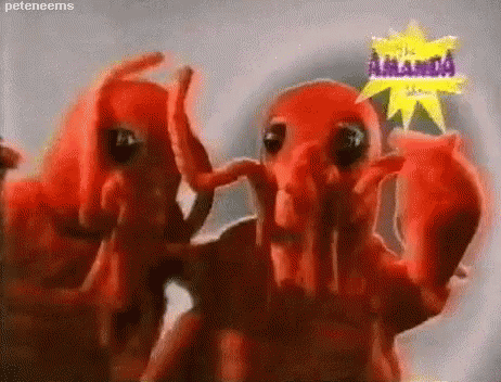 Dancinglobsters Lobsters GIF - Dancinglobsters Lobsters Animal GIFs