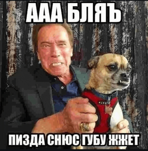 arnold schwarzenegger is holding a small dog in his arms and making a funny face .