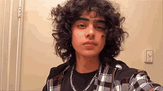 a young man with curly hair is taking a selfie in a bathroom mirror .