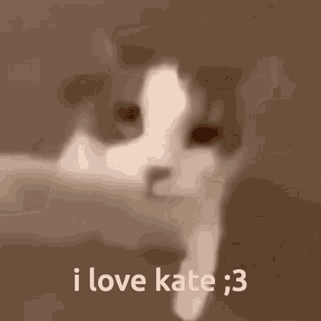 a close up of a cat with the words i love kate