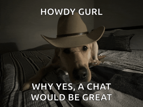 a dog wearing a cowboy hat is laying on a bed