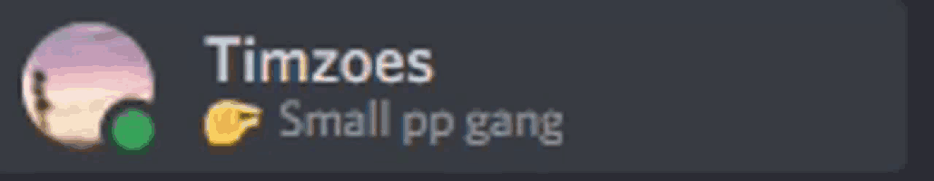 a blurred image of a person with the name timzoes small pp gang