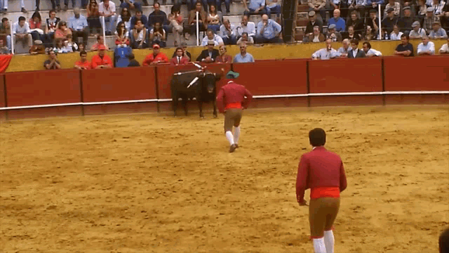 a man in a red jacket stands in front of a bull in a ring