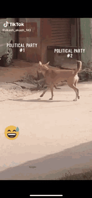 a dog is walking down a street with political party # 1 and political party # 2 written on the bottom