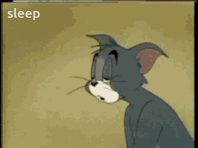 Cat Tom GIF - Cat Tom Tom And Jerry GIFs