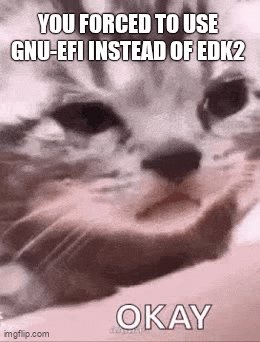 a close up of a cat 's face with the words `` you forced to use gnu-effi instead of edk2 ''