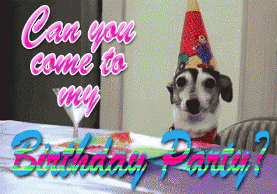 Birthday Party GIF - Birthday Party GIFs