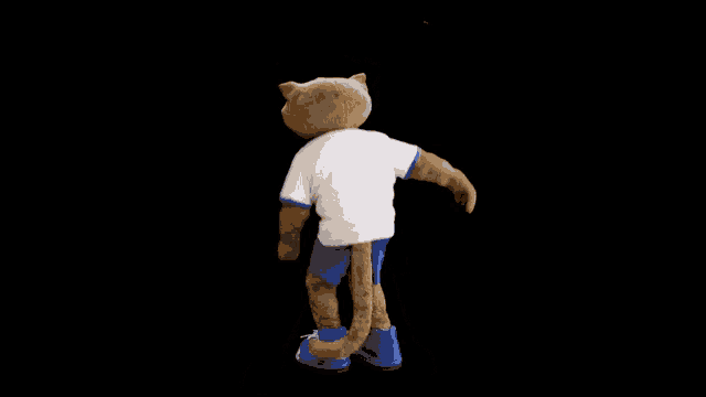 a mascot wearing a white shirt that says minas