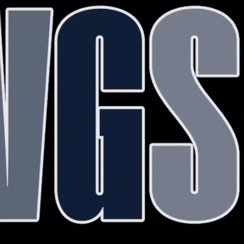 a logo that says vgs on it